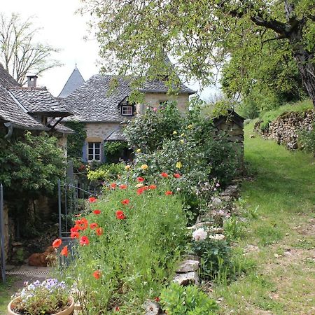 Les Terrasses De Labade Gite Et Chambres D'Hotes Coubisou Exterior foto