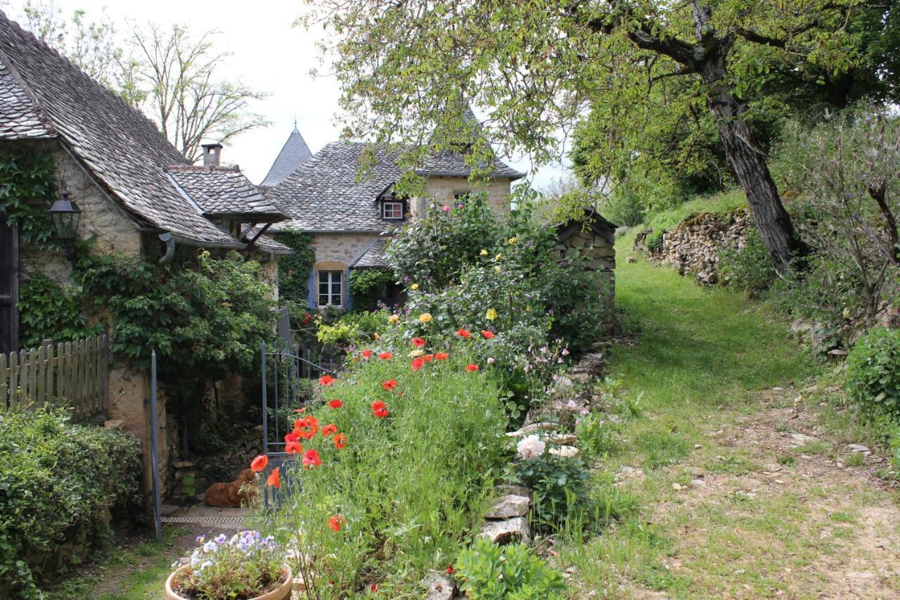 Les Terrasses De Labade Gite Et Chambres D'Hotes Coubisou Exterior foto