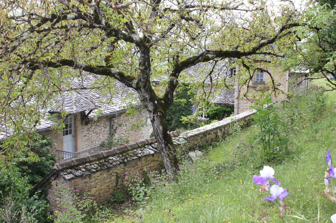 Les Terrasses De Labade Gite Et Chambres D'Hotes Coubisou Exterior foto
